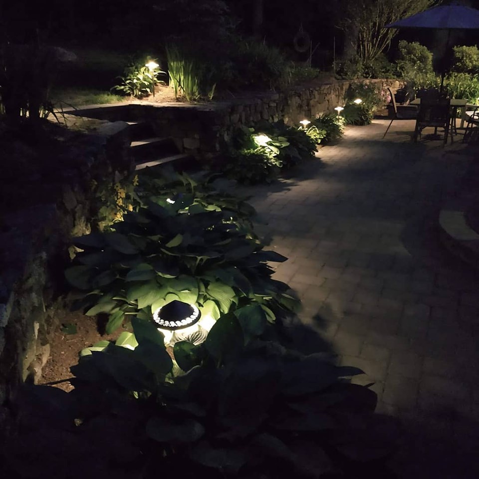 Low Voltage Landscape Lighting